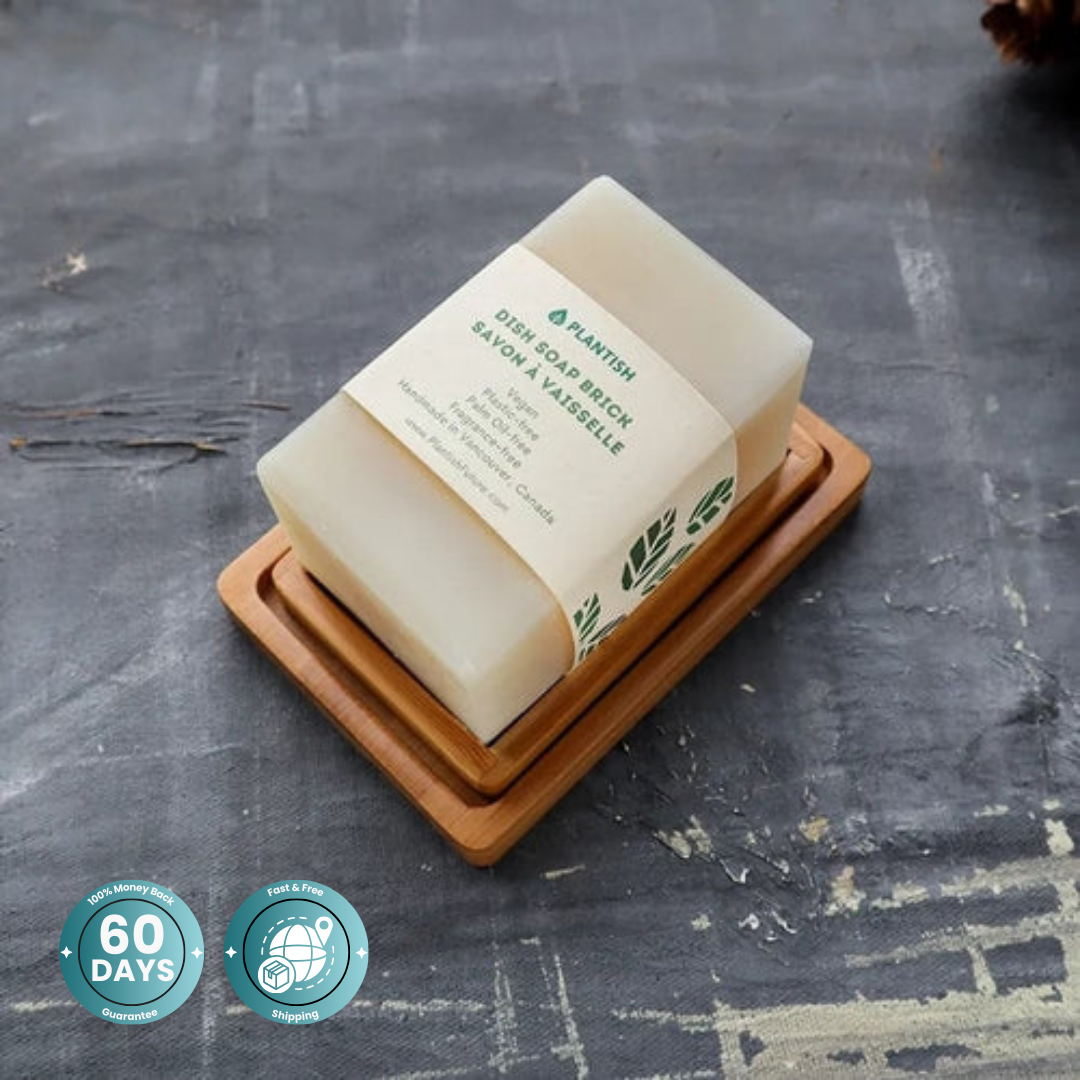 Solid Dish Soap (13oz)